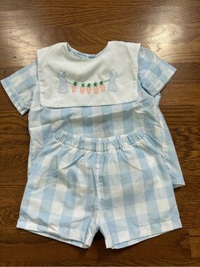 Light Blue Gingham Kids Matching Set with Embroidered Bunnies and Carrots